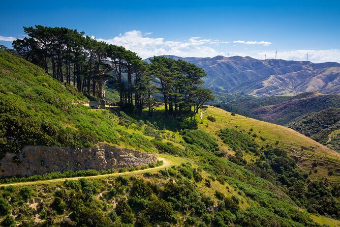 Wellington: Wild Skyline Guided Hiking Tour, Transfers + Lunch - Who Will Love This Tour?
