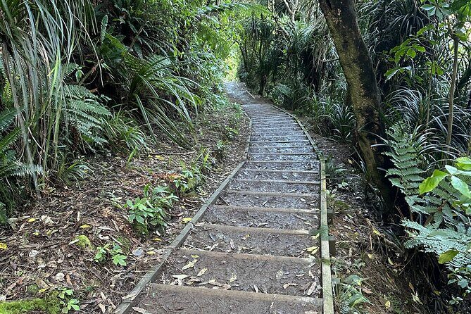 Wellington: Wild Skyline Guided Hiking Tour, Transfers + Lunch - The Sum Up: Is This Tour Worth It?