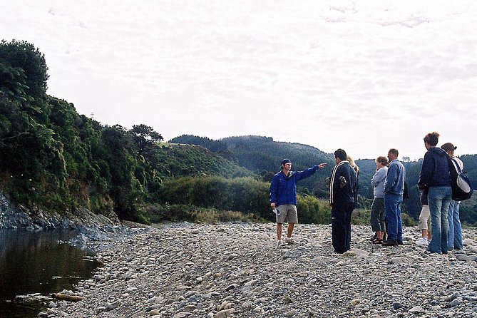 Wellingtons Full Day Lord of the Rings Tour Including Lunch - Scenic Filming Locations