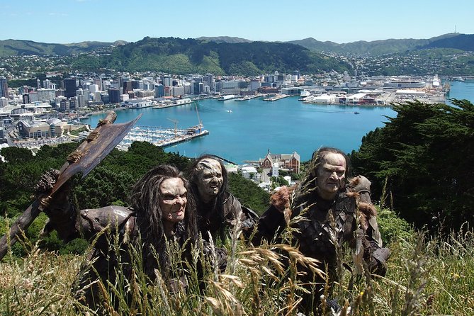 Wellingtons Full Day Lord of the Rings Tour Including Lunch - Tour Accessibility and Requirements