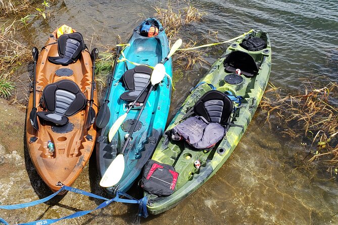 Wellness Park Retreat & Kayaking on Lake Arenal - Tour Activities and Inclusions