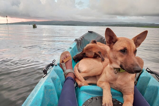 Wellness Park Retreat & Kayaking on Lake Arenal - Pickup and Drop-off Details