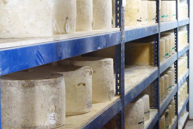 Wells, Cheddar Cheese and Cheddar Gorge - Private Day Trip From Bristol - Exploring Wells Cathedral