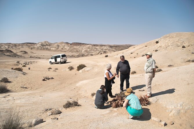 Welwitschia Tour From Swakopmund - Meeting and Pickup