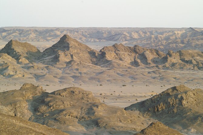 Welwitschia Tour From Swakopmund - Tour Details