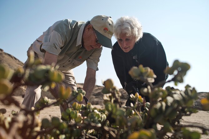 Welwitschia Tour From Swakopmund - Transportation and Accessibility