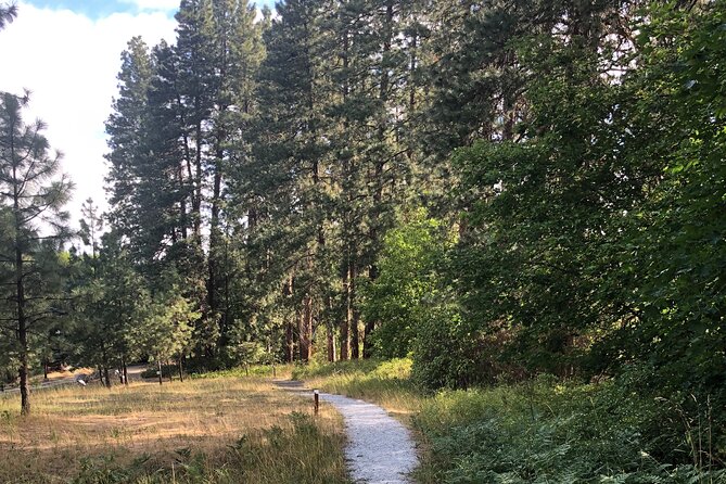 Wenatchee River Institute: a Self-Guided Tour With the Artists - Recap