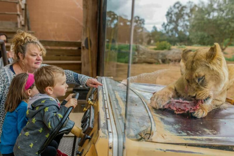 Werribee Open Range Zoo: Entry Ticket - Key Points