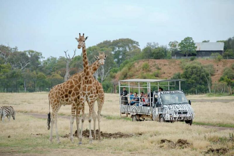 Werribee Open Range Zoo: Entry Ticket - An Overview of What You’ll Find at Werribee Open Range Zoo