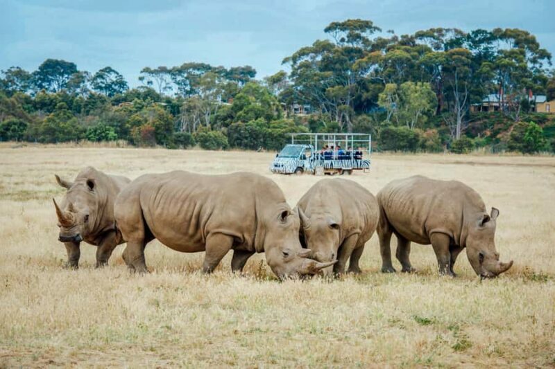 Werribee Open Range Zoo: Entry Ticket - Walking Through the Australian Journey