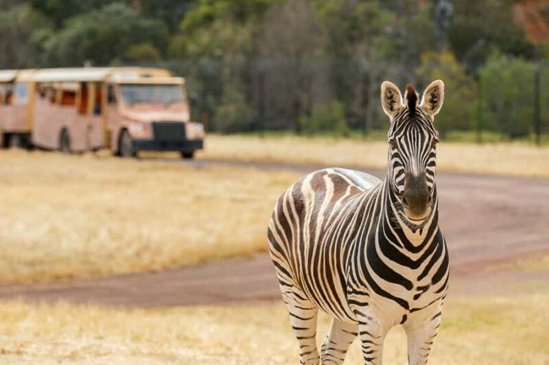 Werribee Open Range Zoo: Entry Ticket - The Sum Up