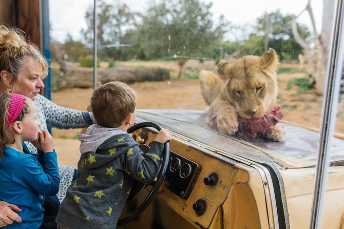 Werribee Open Range Zoo General Admission Ticket - Safari Experience Highlights