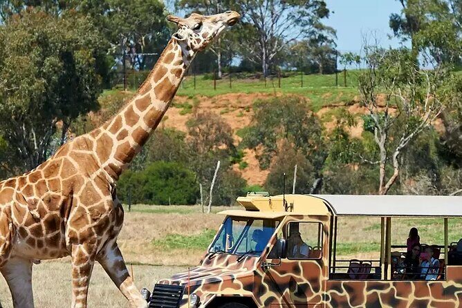 Werribee Zoo & Werribee Mansion Tour - Werribee Zoo & Werribee Mansion Tour: A Complete Guide