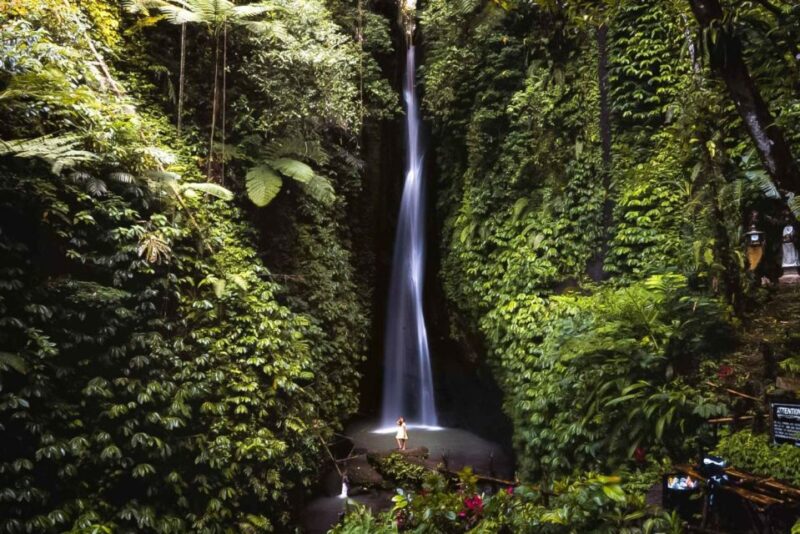 West Bali: Jatiluwih Rice Terrace and Tanah Lot Sunset Tour - Itinerary Highlights