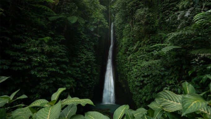 West Bali: Jatiluwih Rice Terrace and Tanah Lot Sunset Tour - Suitability