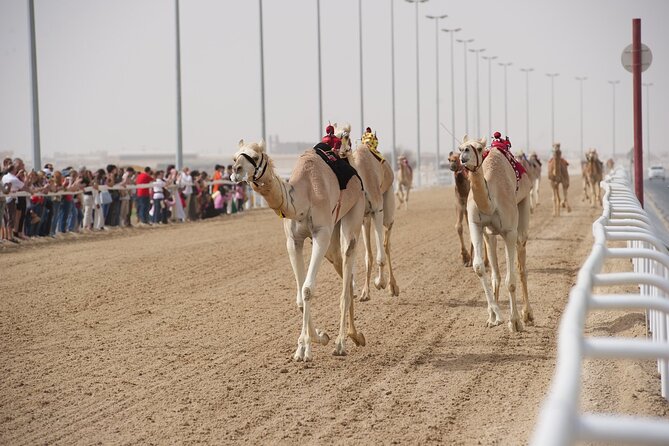 West Coast and Camel Race Track Visit - Logistics
