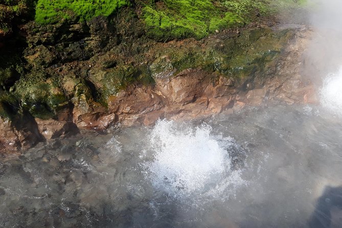 West Coast and Waterfalls Private Tour - Highlights of the Tour