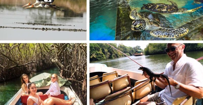 West Coast Beach, River Mangroves Lagoon, Wildlife Boat Tour - Itinerary Highlights