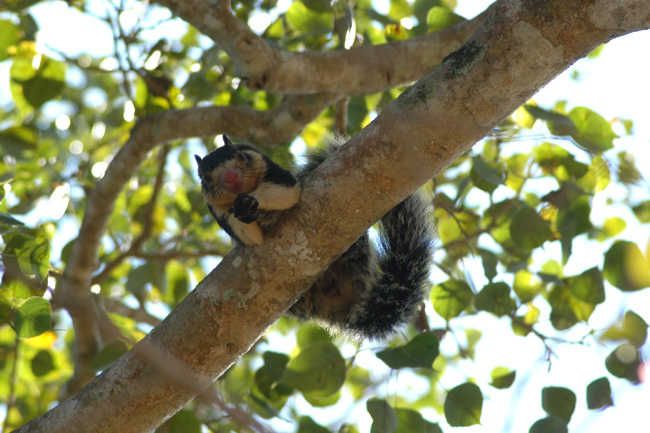 West Coast Beach, River Mangroves Lagoon, Wildlife Boat Tour - Frequently Asked Questions