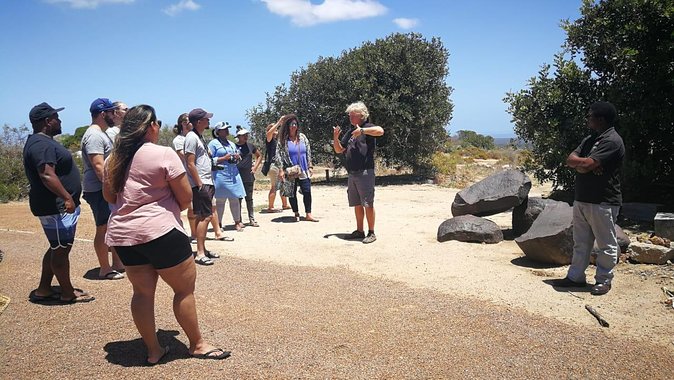 West Coast Day Trip From Cape Town - Physical Fitness and Accessibility