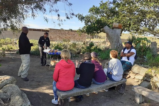 West Coast Day Trip From Cape Town - Dietary Accommodations for Travelers