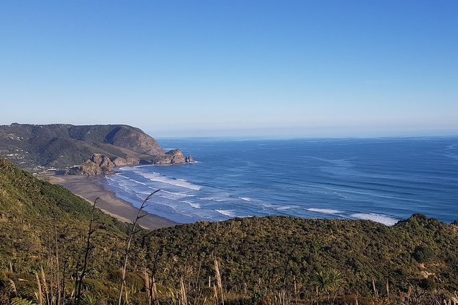 West Coast Discovery - Piha Beach or Muriwai Beach From Auckland - Tour Highlights