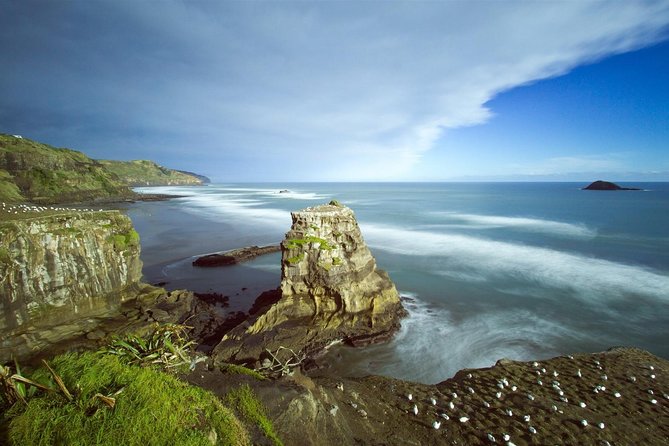 West Coast Discovery - Piha Beach or Muriwai Beach From Auckland - Recommendations