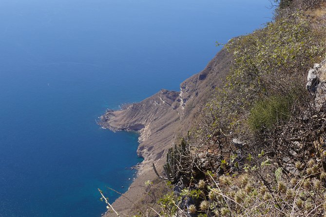 West Coast Mountains and Beaches (Fazayah Beach + Shaat Cliff) - Pricing and Booking Details