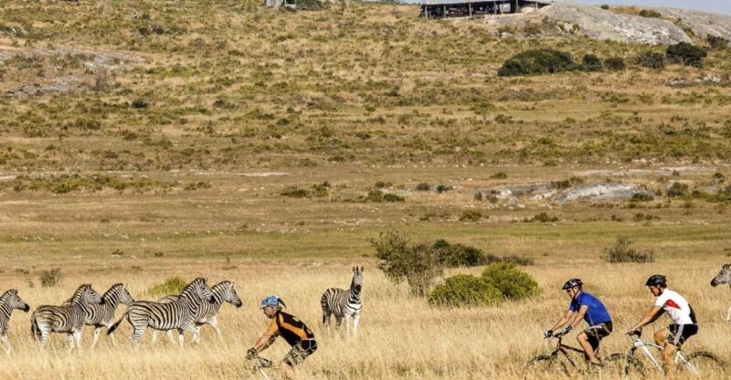 West Coast: Nature Cycle & San Heritage Centre. W. Lunch - Tour Overview