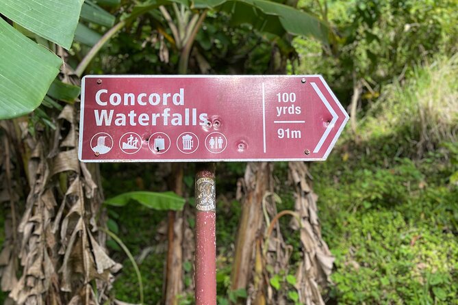 West Coast: Rum Distillery, Concord Waterfall, Nutmeg Processing - Concord Waterfall Exploration