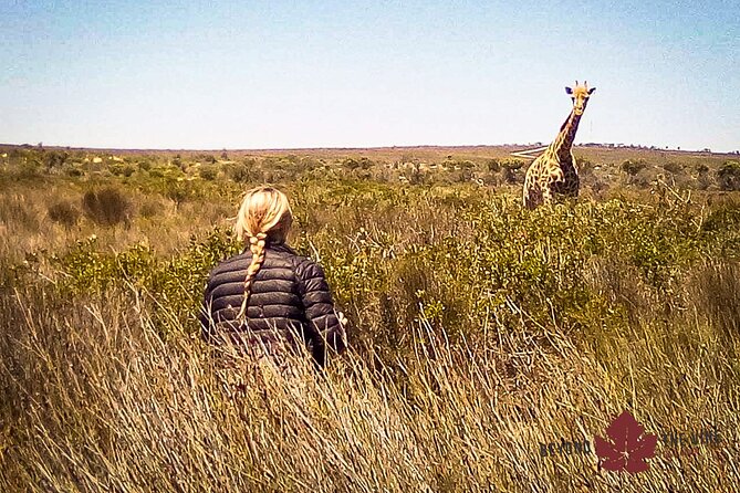 West Coast Safari and Khoi San Village COMBO - PRIVATE TOUR - Booking Details
