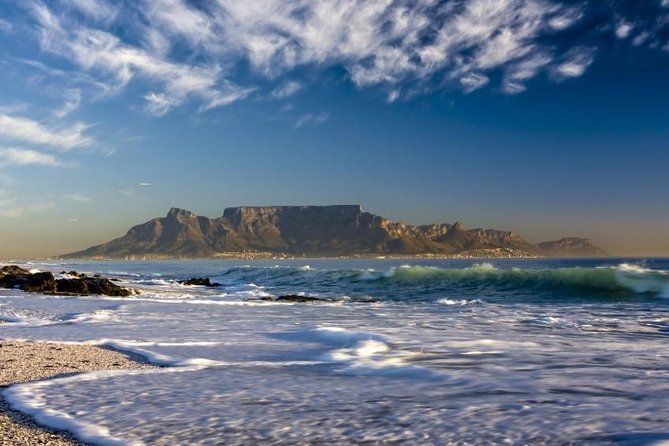 West Coast Safari and Khoi San Village COMBO - PRIVATE TOUR - Safari Experience
