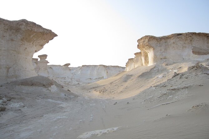 West Coast Tour in Zekreet Peninsula From Qatar - Highlights of the Tour