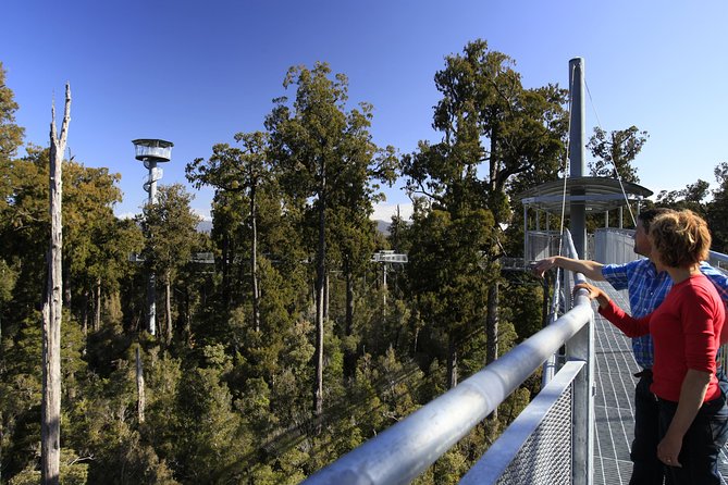 West Coast Tree Top Walk Experience - Operating Hours and Schedule