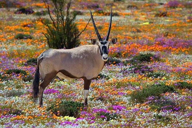 West Coast Wonders Full Day Tour With Private Transfer - About Your Stay