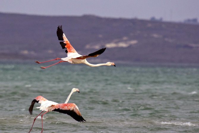 West Coast Wonders Full Day Tour With Private Transfer - Included Amenities
