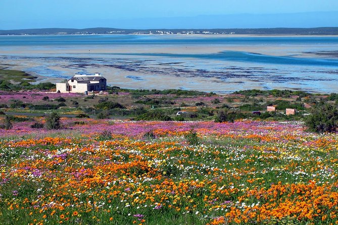 West Coast Wonders Full Day Tour With Private Transfer - Guest Experiences