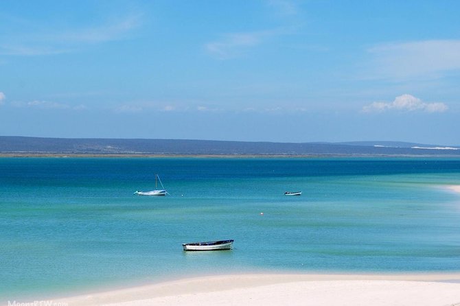 West Coast Wonders Full Day Tour With Private Transfer - Wildlife Encounters