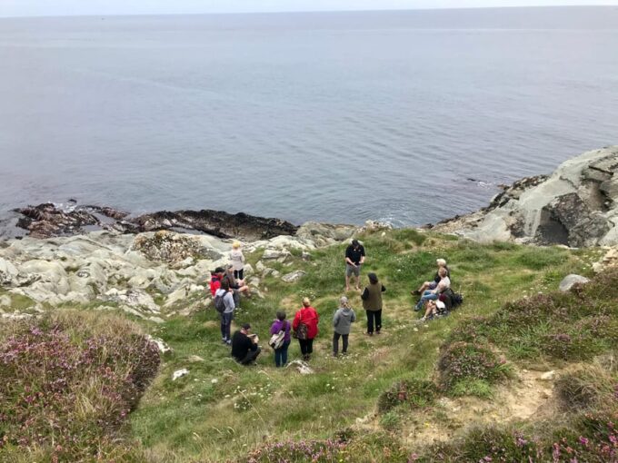 West Cork: Toe Head Clifftop Hike With Coffee & Cookies - Engage With Local Flora and Fauna
