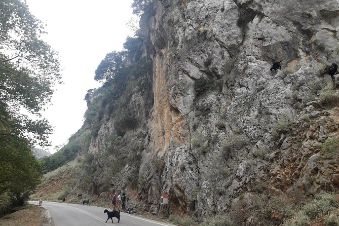 West Crete Nature Private Tour With Lunch (Price per Group of 6) - Tour Duration