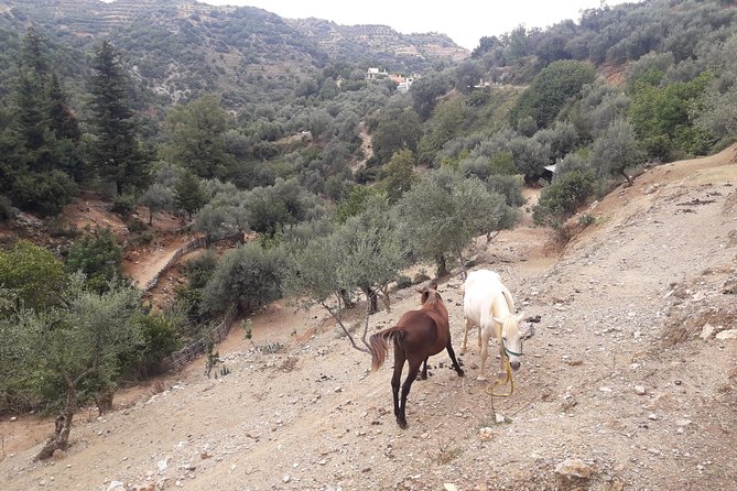 West Crete Nature Private Tour With Lunch (Price per Group of 6) - Tour Location