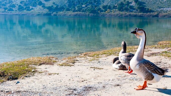 WEST CRETE:CHANIA-KOURNAS-RETHIMNO - Scenic Countryside Drive