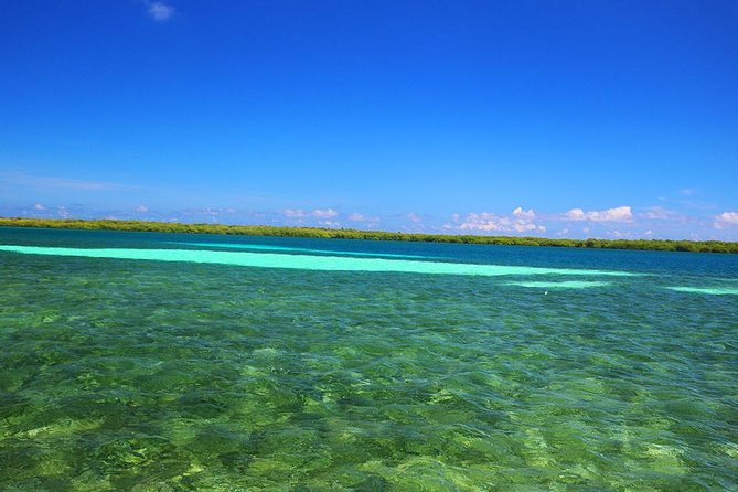 West End or West Bay to Pigeon Cay - Deluxe Island Lunch