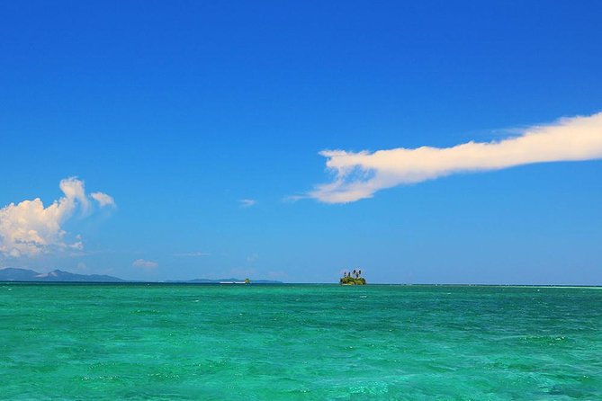 West End or West Bay to Pigeon Cay - Pickup and Transportation