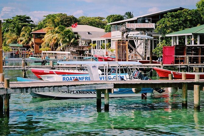 West End Tour (Choco Factory + Rum Company + Art Gallery + Rusty Fish and More) - Key Points
