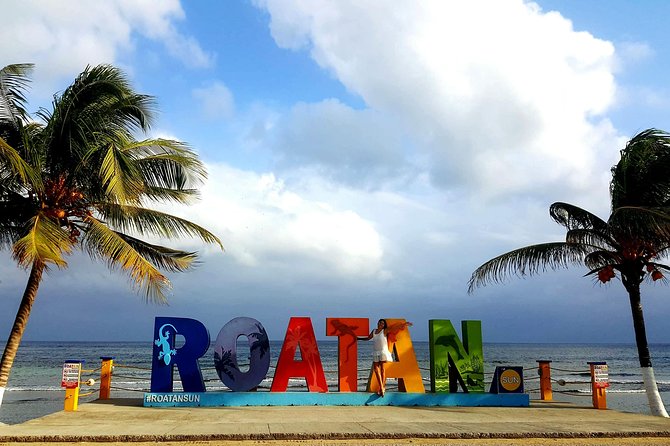 West End Tour (Choco Factory + Rum Company + Art Gallery + Rusty Fish and More) - Traveler Reviews