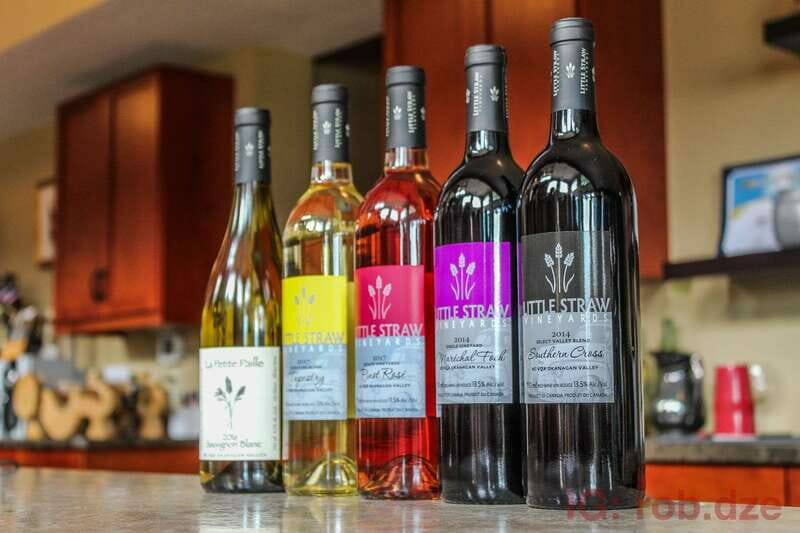 West Kelowna: Afternoon Sightseeing and Wine Tour - An In-Depth Look at the West Kelowna Wine Tour