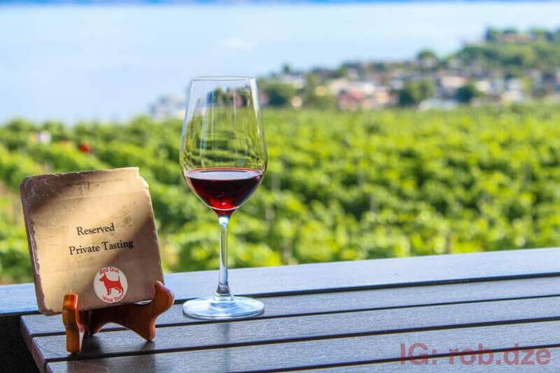 West Kelowna: Afternoon Sightseeing and Wine Tour - Who Will Love This Tour?