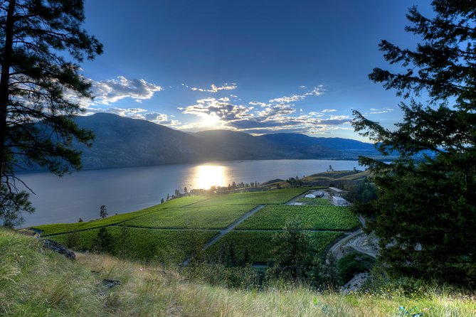 West Kelowna Tour From Vernon - Classic - 6 Wineries - Accessibility