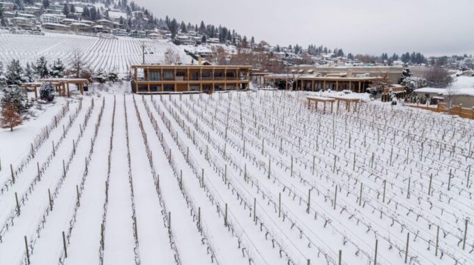 West Kelowna Wineries Tour - Frequently Asked Questions